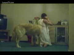 In this animal fetish movie clip, the housewife removes her disguise and lets the household pet utilize her moist crack.